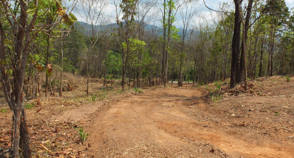 For sale land in Mae On, Chiang Mai