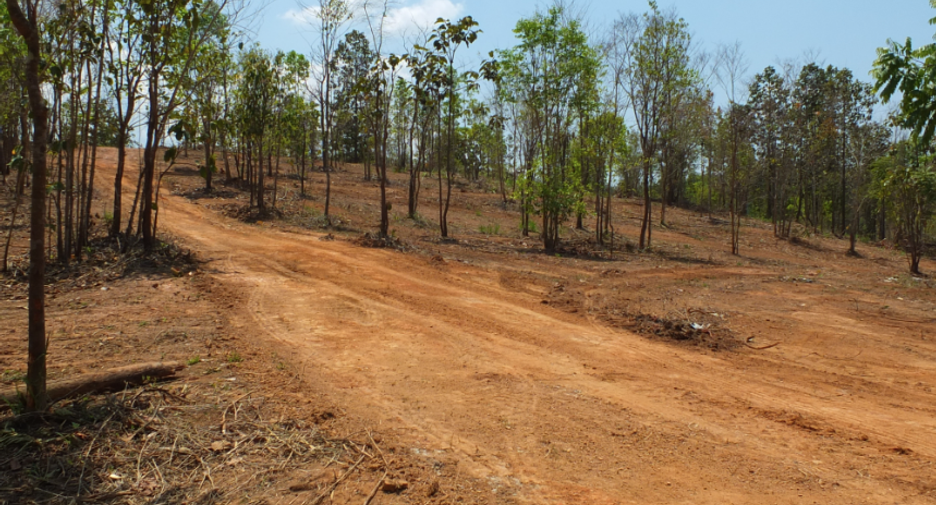 For sale land in Mae On, Chiang Mai