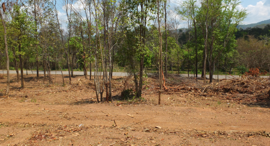 For sale land in Mae On, Chiang Mai