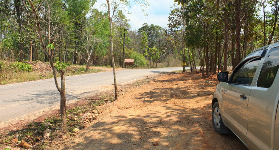 For sale land in Mae On, Chiang Mai