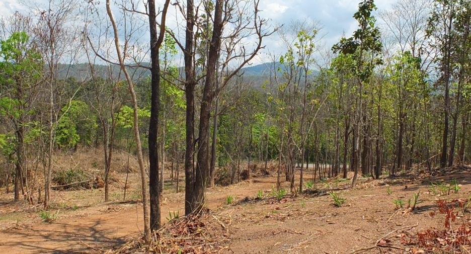For sale land in Mae On, Chiang Mai