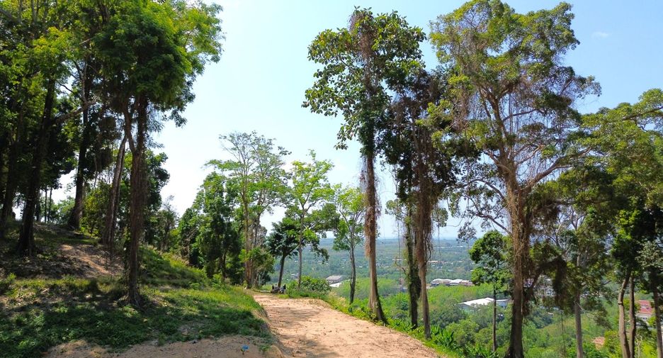 For sale land in Takua Thung, Phang Nga