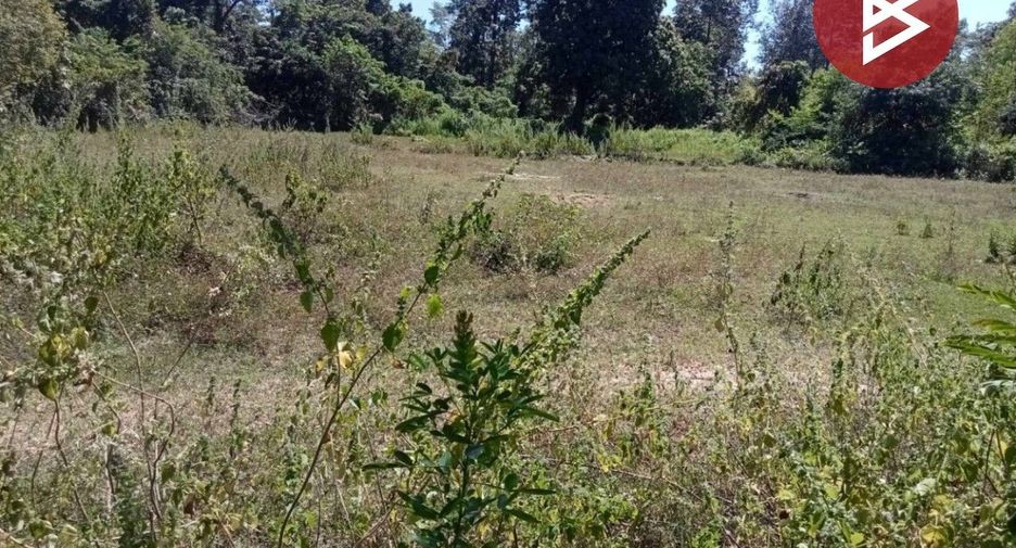 For sale land in Mueang Amnat Charoen, Amnat Charoen