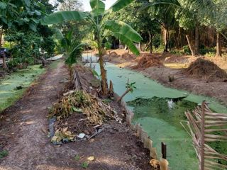 For sale land in Phra Pradaeng, Samut Prakan
