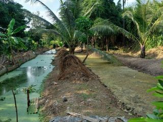 For sale land in Phra Pradaeng, Samut Prakan
