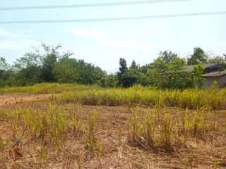 For sale land in Takua Thung, Phang Nga