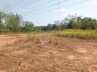 For sale land in Takua Thung, Phang Nga