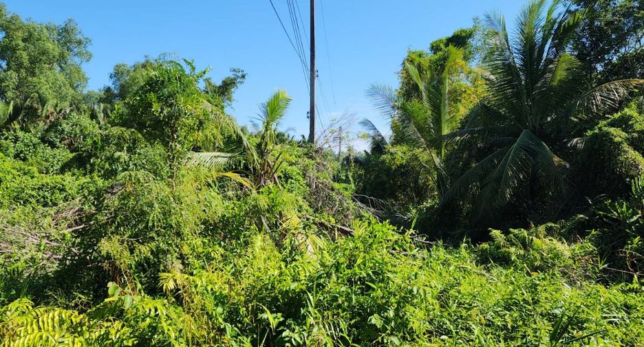 For sale land in Bang Khla, Chachoengsao