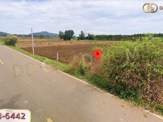 For sale land in Phayuha Khiri, Nakhon Sawan