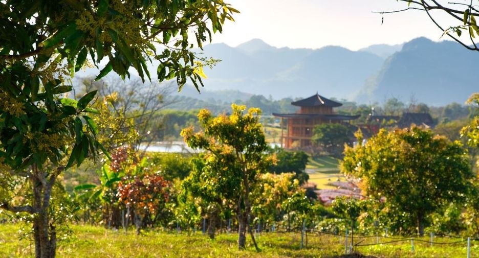 ขาย ที่ดิน ใน ไชยปราการ, เชียงใหม่