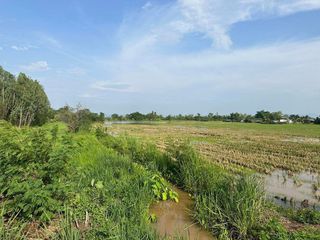 For sale land in Doi Lo, Chiang Mai