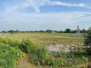 For sale land in Doi Lo, Chiang Mai