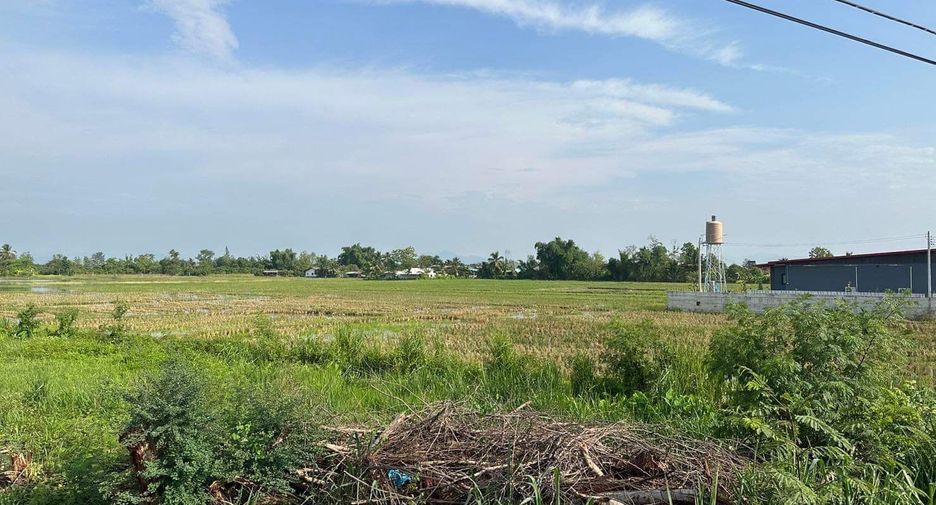 For sale land in Doi Lo, Chiang Mai