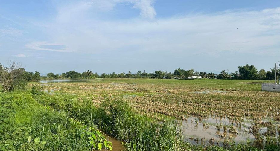 For sale land in Doi Lo, Chiang Mai
