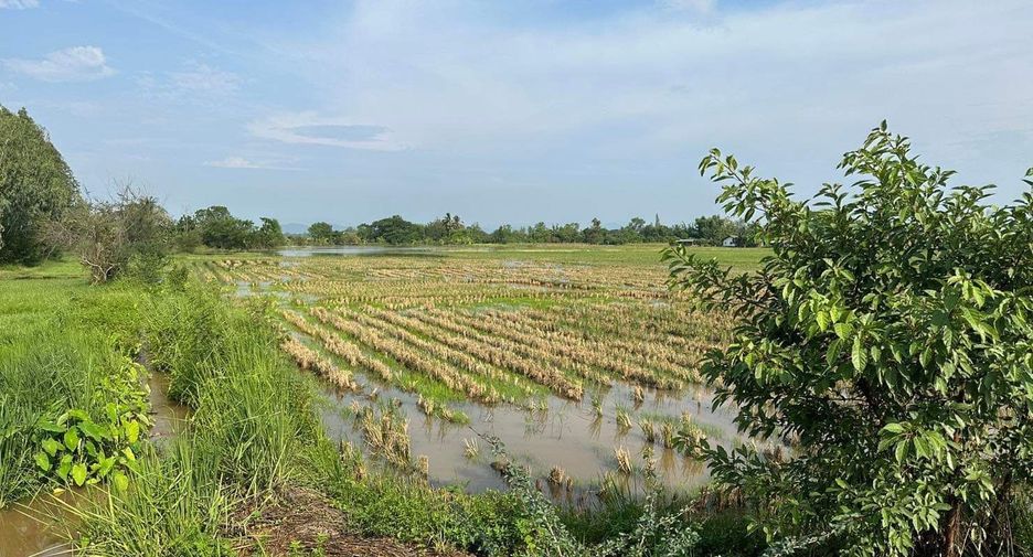 For sale land in Doi Lo, Chiang Mai