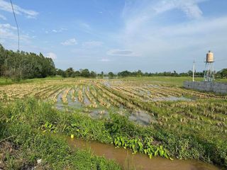 For sale land in Doi Lo, Chiang Mai