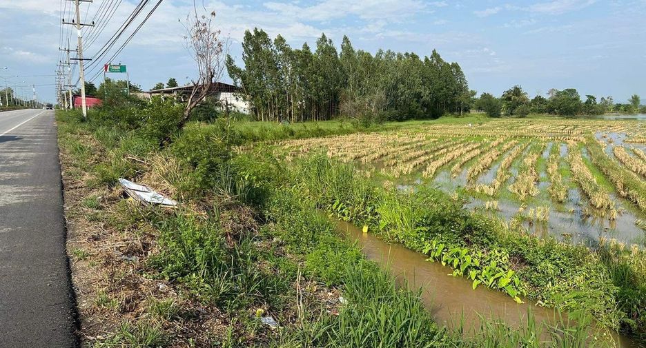For sale land in Doi Lo, Chiang Mai