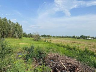 For sale land in Doi Lo, Chiang Mai