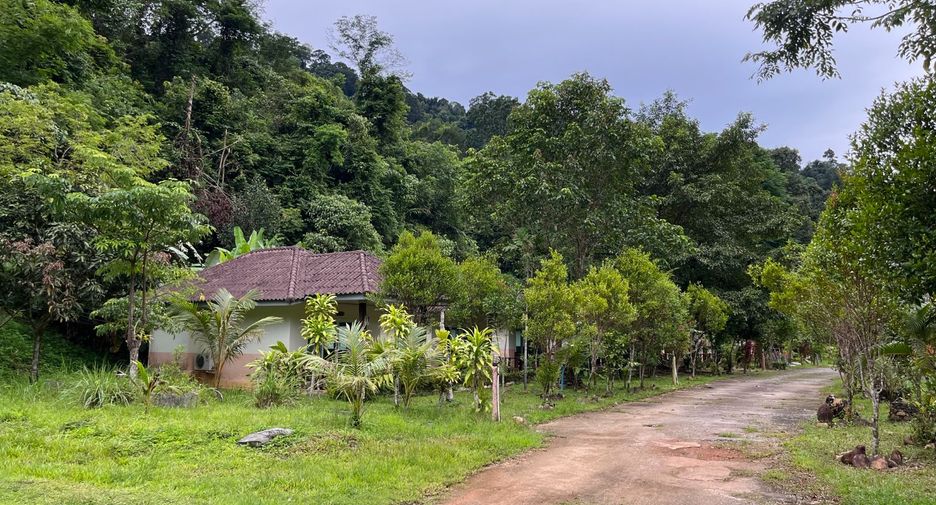 For sale 29 bed villa in Mueang Phangnga, Phang Nga