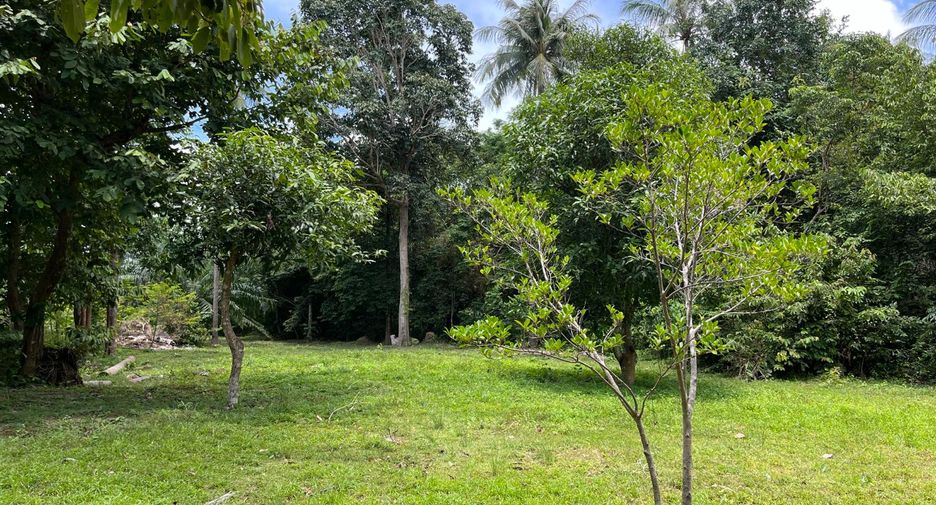For sale 5 bedrooms hotel in Nuea Khlong, Krabi