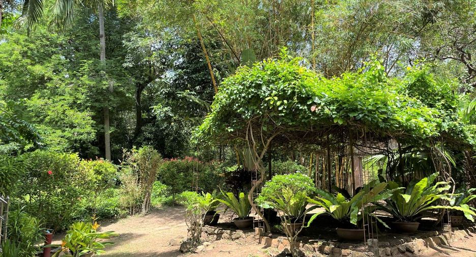 For sale 5 bedrooms hotel in Nuea Khlong, Krabi