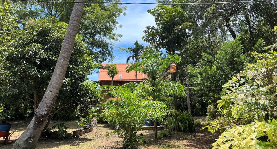 For sale 5 bedrooms hotel in Nuea Khlong, Krabi