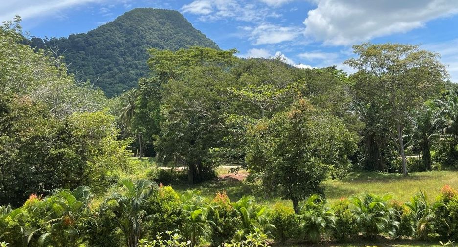 For sale 5 bedrooms hotel in Nuea Khlong, Krabi