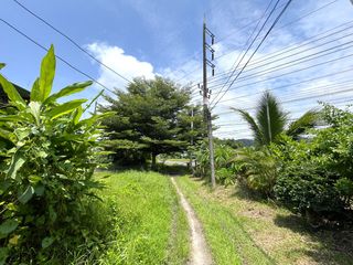 ขาย ที่ดิน ใน ตะกั่วทุ่ง, พังงา