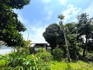 ขาย ที่ดิน ใน ตะกั่วทุ่ง, พังงา
