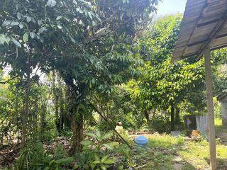 ขาย ที่ดิน ใน ตะกั่วทุ่ง, พังงา