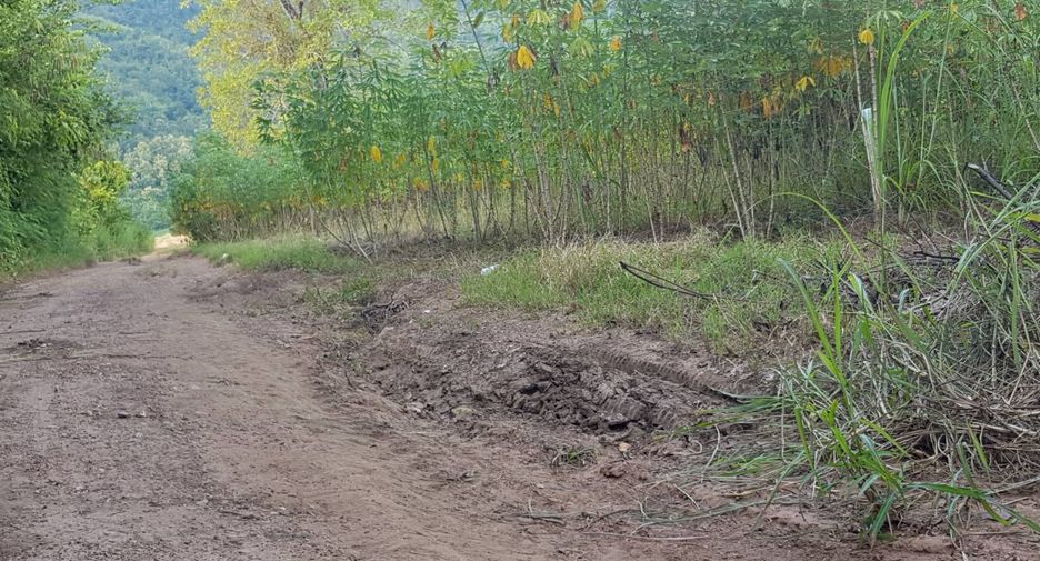 Grundstück zum Kauf in Nam Pat, Uttaradit