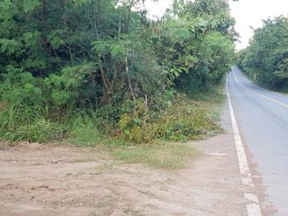 For sale land in Nam Pat, Uttaradit