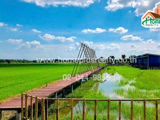 For sale studio land in Tha Chang, Sing Buri