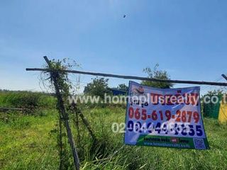 For sale land in Tha Chang, Sing Buri