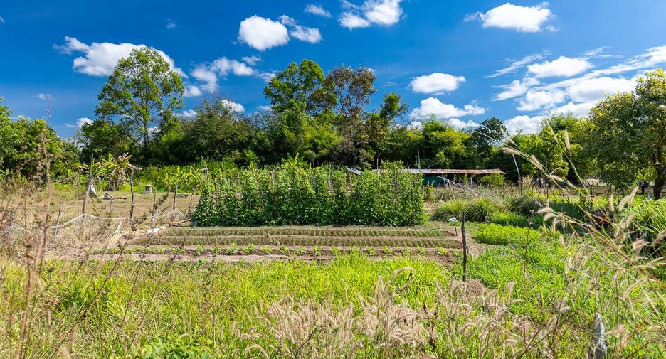 À vendre terrain à Mueang Ubon Ratchathani, Ubon Ratchathani