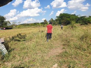 For sale land in Mueang Phayao, Phayao
