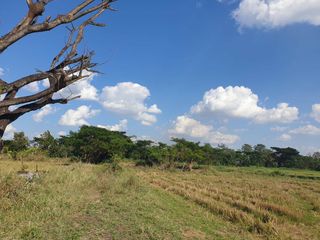 For sale land in Mueang Phayao, Phayao
