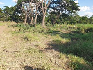 For sale land in Mueang Phayao, Phayao