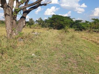For sale land in Mueang Phayao, Phayao