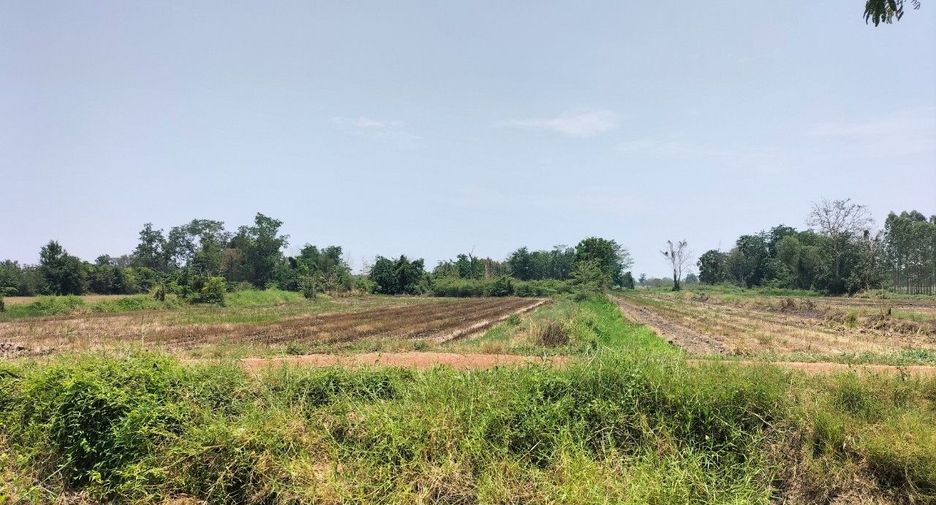 For sale land in Lan Krabue, Kamphaeng Phet