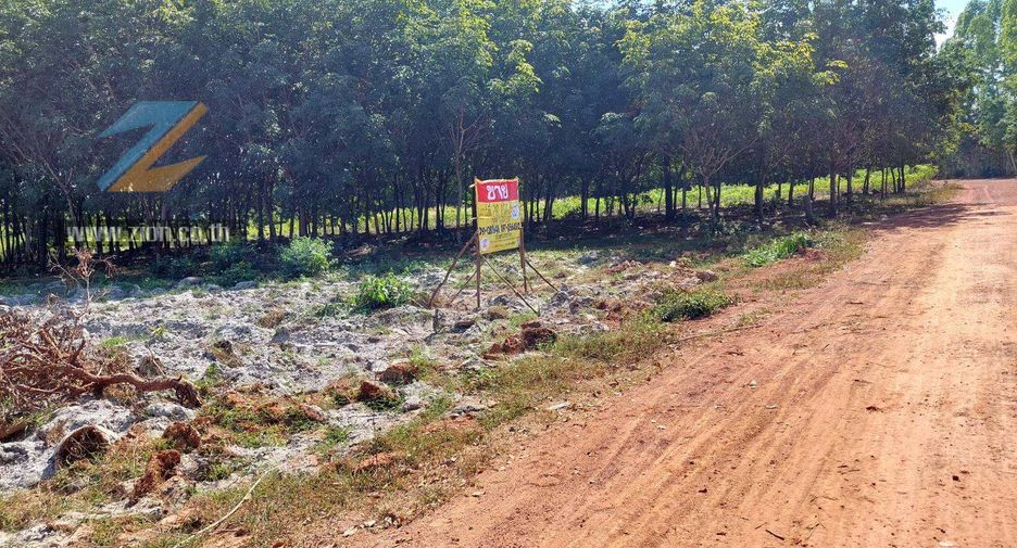 For sale land in Pak Khat, Bueng Kan
