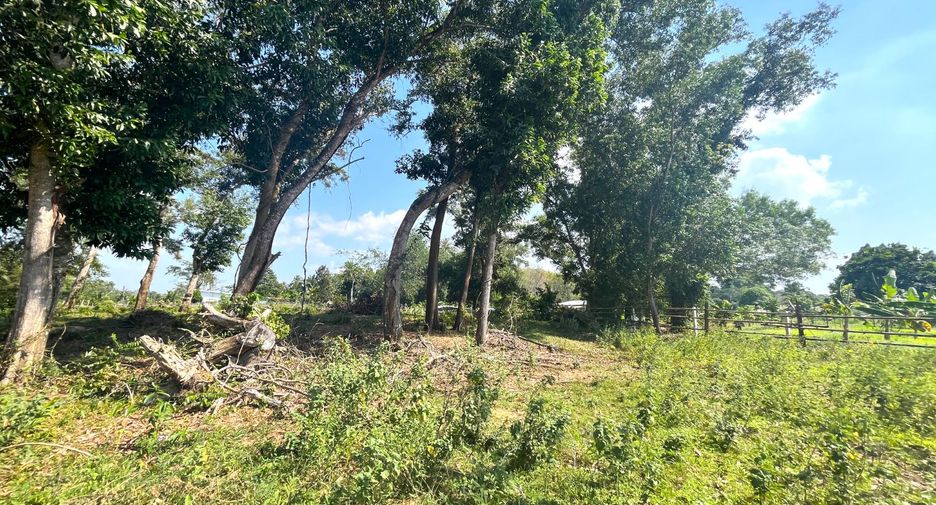 For sale land in Thai Mueang, Phang Nga