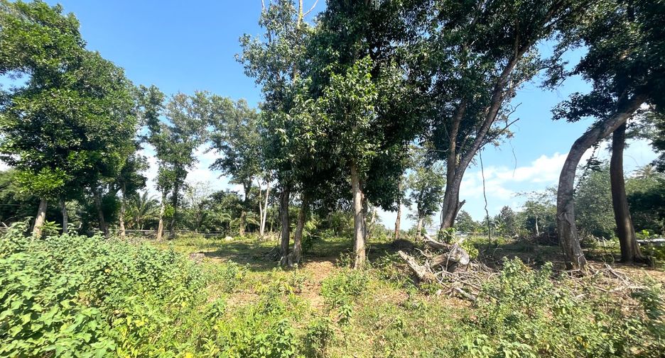 For sale land in Thai Mueang, Phang Nga