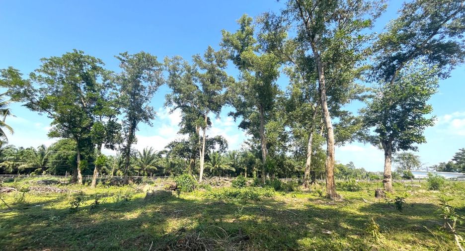 For sale land in Thai Mueang, Phang Nga