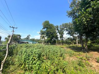 For sale land in Thai Mueang, Phang Nga