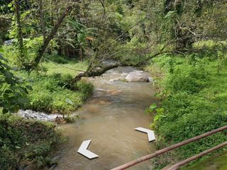 出售 土地 在 Mae On, Chiang Mai