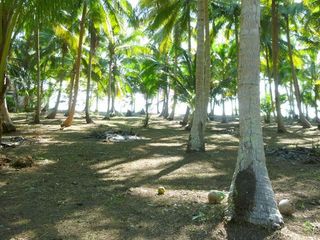 For sale land in Mueang Chumphon, Chumphon