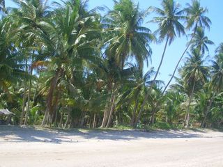 For sale land in Mueang Chumphon, Chumphon