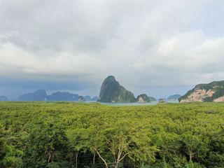 For sale land in Takua Thung, Phang Nga