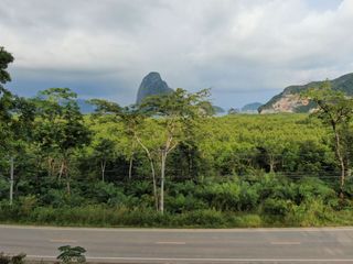 For sale land in Takua Thung, Phang Nga
